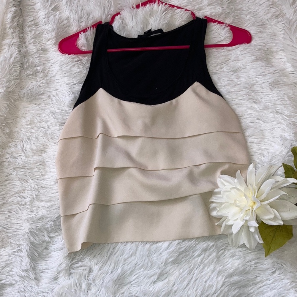 ✨ Host Pick ✨🖤Cream and Black Crop Top